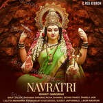 Navratri - Bhakti Sangrah - Soni Nigam Song Download